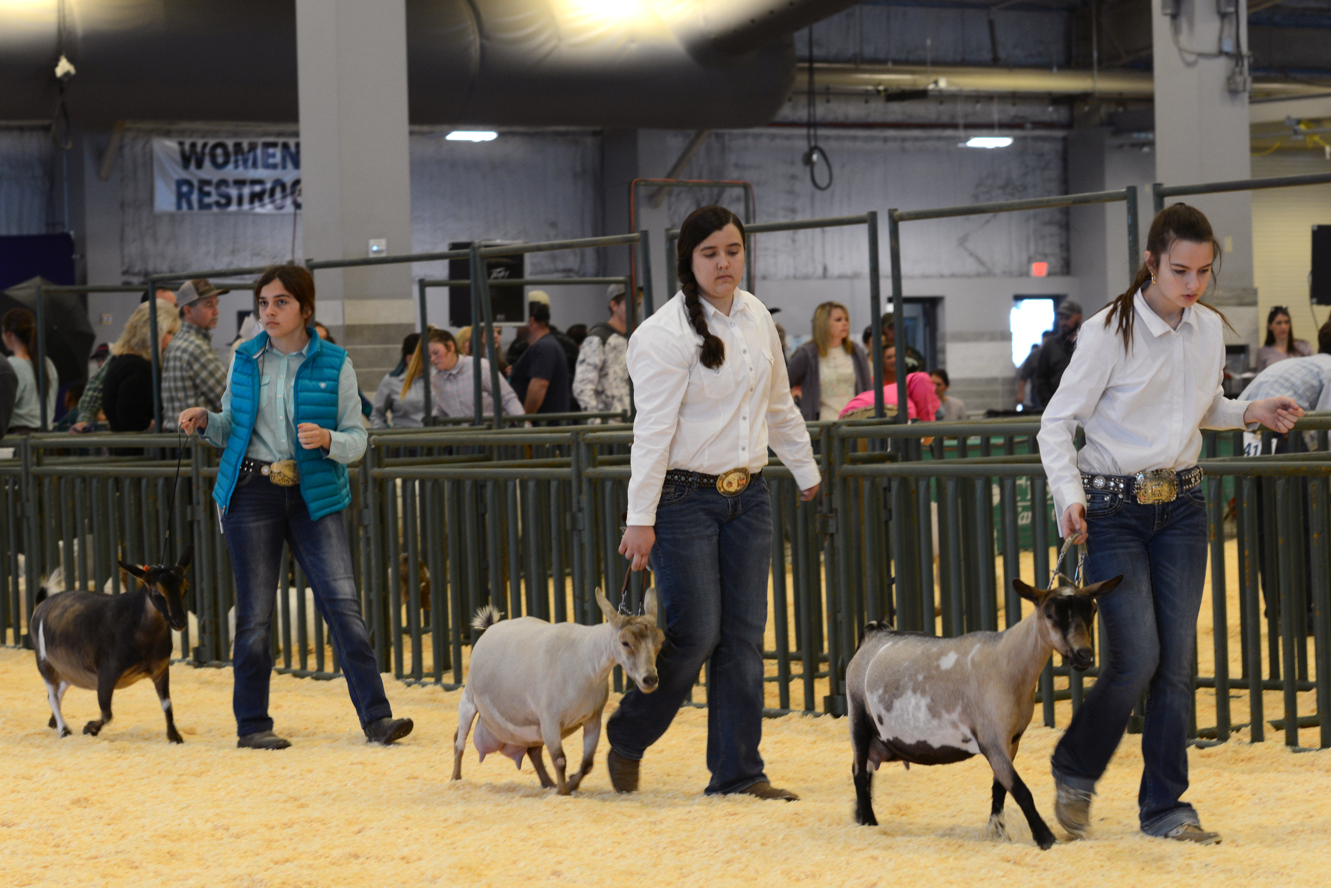 Showmanship winners named at LSU AgCenter Livestock Show 